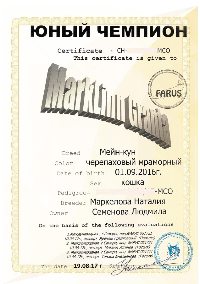 granta certificate ch
